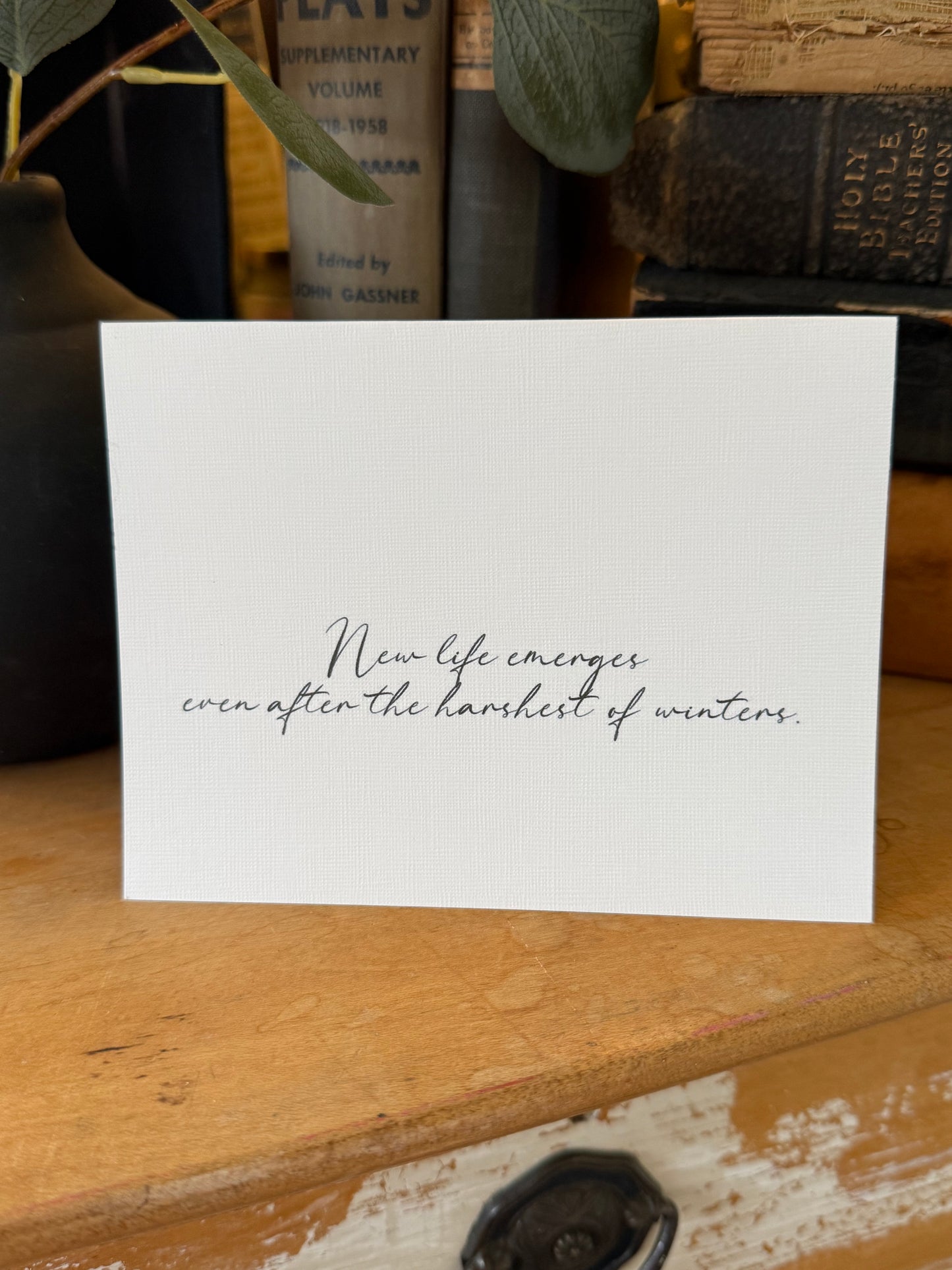New Life Emerges Even After The Harshest Winters Greeting Card